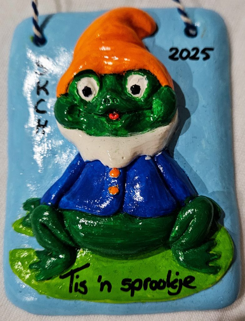 SKCH Insigne 2025 'Tis 'n sprookje'